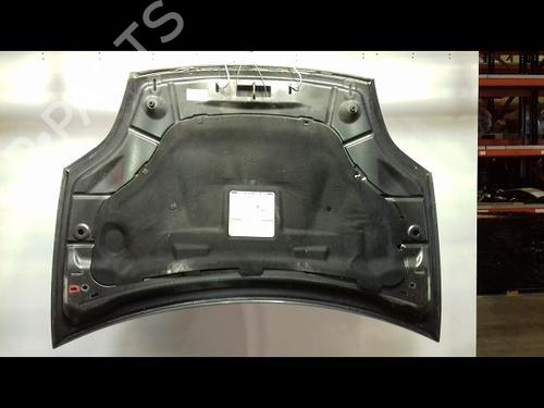 Used Hood FIAT BRAVO II (198_) 1.9 D Multijet (198AXB1A) (120 hp) 15138438