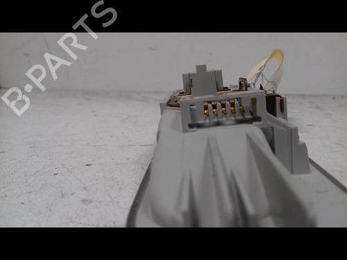 Used Interior roof light RENAULT CLIO III (BR0/1, CR0/1) 1.5 dCi (C/BR0G, C/BR1G) (68 hp) 8973690