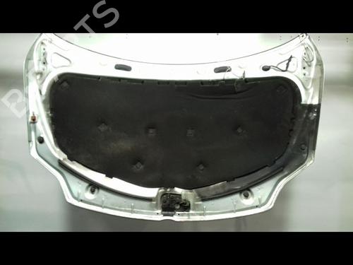 Used Hood VW GOLF V (1K1) 1.9 TDI (105 hp) 14954719