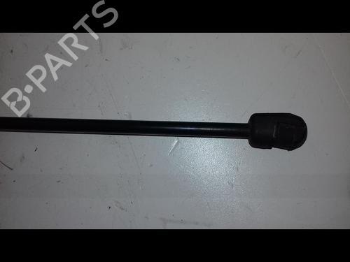 Tailgate lift support FIAT TIPO Estate (356_, 357_) 1.6 D (356WXG1B) | BP29225957C138