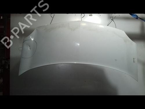 Used Hood RENAULT KANGOO Express (FW0/1_) 1.5 dCi 90 (FW0G, FW05, FW08, FW11) (90 hp) 22441406