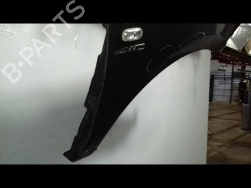 Right front fenders HYUNDAI SANTA FÉ II (CM) 2.2 CRDi GLS 4x4 | BP29224535C42 