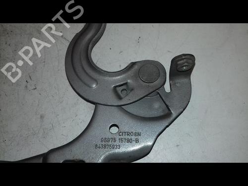 Hinge/Door check strap CITROËN C4 II (NC_) 1.6 BlueHDi 120 | BP29468756C146 