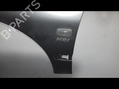 Left front fenders PEUGEOT 406 (8B) 2.0 HDI 110 | BP23195211C41 