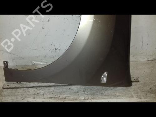Left front fenders DACIA SANDERO II 1.2 | BP29224586C41 