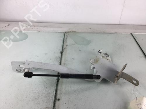 Used Hinge/Door check strap RENAULT SCÉNIC III (JZ0/1_) 1.5 dCi (110 hp) 14887669
