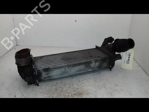 Andere für RENAULT KANGOO Express (FW0/1_) 1.5 dCi 90 (FW0G, FW05, FW08, FW11) (90 hp) 29223090