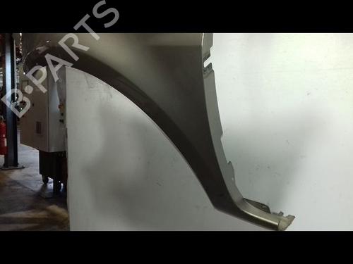 Left front fenders RENAULT CLIO III (BR0/1, CR0/1) 1.5 dCi (BR17, CR17) | BP19319709C41 