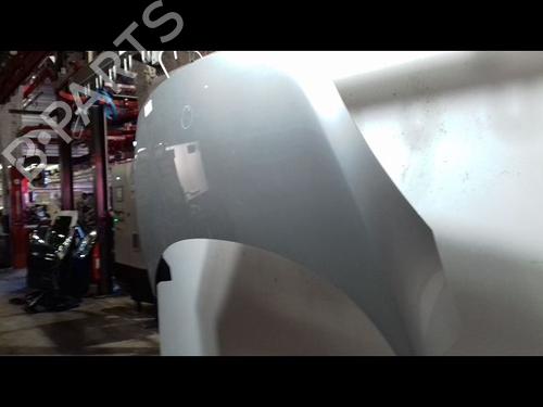 Hood RENAULT SCÉNIC III (JZ0/1_) 1.2 TCe | BP29224747C1 