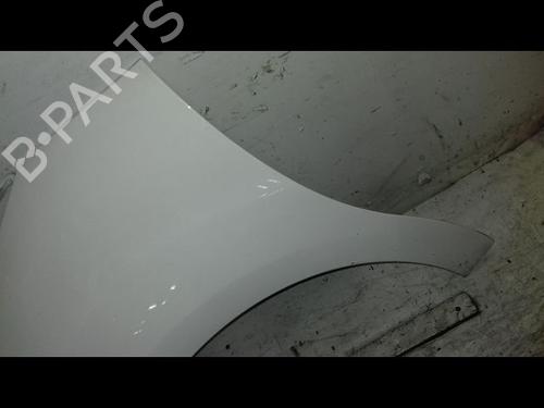 Left front fenders CITROËN C3 II (SC_) 1.4 HDi 70 (SC8HZC, SC8HR0, SC8HP4) | BP29224611C41 