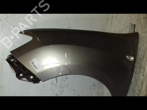 Left front fenders DACIA SANDERO II 1.2 | BP29224586C41 