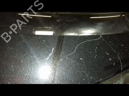 Left front fenders RENAULT CLIO III (BR0/1, CR0/1) 1.5 dCi (BR17, CR17) | BP19747943C41 