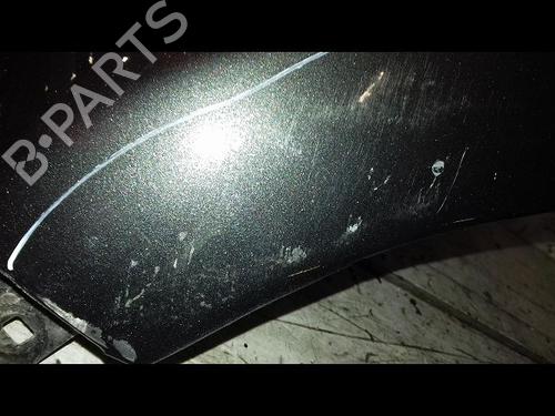Left front fenders CITROËN C1 (PM_, PN_) 1.4 HDi | BP29224610C41