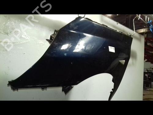 Used Left front fenders RENAULT ESPACE IV (JK0/1_) 2.0 dCi (JK01, JK02, JK1J, JK1K, JK1H) (150 hp) 21672324