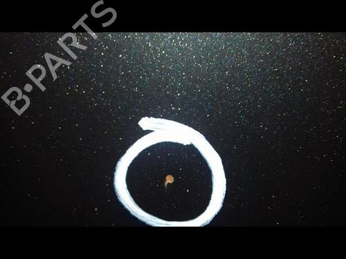 BP16913400C1 main image