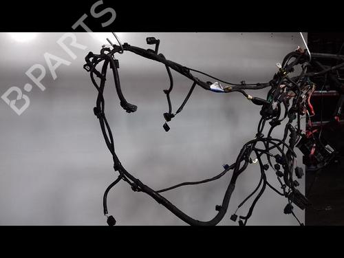 Wiring harness RENAULT TALISMAN (LP_) 1.6 dCi 160 | BP14886829E16 