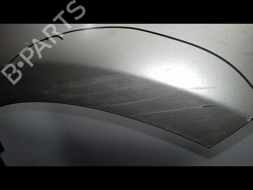 Right front fenders RENAULT CLIO III (BR0/1, CR0/1) 1.5 dCi (BR1C, CR1C) | BP12528994C42 