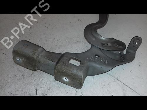 Hinge/Door check strap CITROËN C4 II (NC_) 1.6 BlueHDi 120 | BP29468756C146 