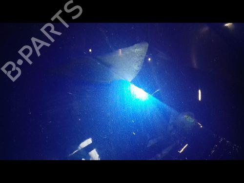 Rear bumper RENAULT CLIO V (B7_) 1.0 SCe 75 (B7M5) | BP29216757C8 
