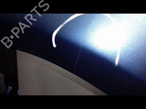 Left front fenders RENAULT CLIO III (BR0/1, CR0/1) 1.5 dCi (C/BR0G, C/BR1G) | BP14954688C41 