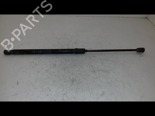 gasdmper-bagklap-citroen-c4-ii-nc_-2009-29225962 main image