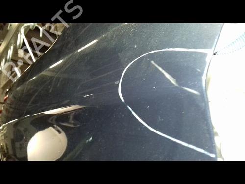 Left front fenders CITROËN C4 II (NC_) 1.4 VTi 95 (NC8FP0) | BP29224559C41 