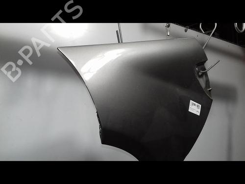 Left front fenders MERCEDES-BENZ A-CLASS (W169) A 180 CDI (169.007, 169.307) | BP14954679C41 