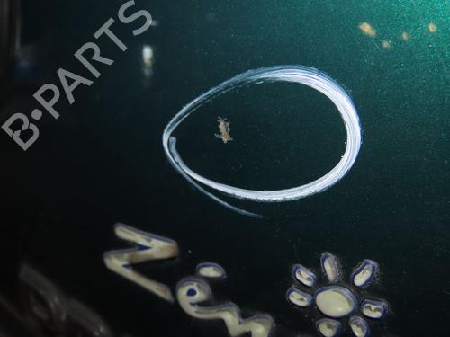 Tailgate PEUGEOT PARTNER MPV (5_, G_) 2.0 HDI | BP17730975C6 