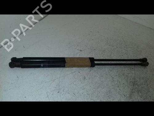 Used Tailgate lift support Tailgate lift support FIAT PUNTO (199_) 1.3 D Multijet (75 hp) 34456477 34456477