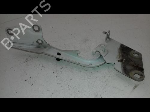 Hinge/Door check strap RENAULT MEGANE III Hatchback (BZ0/1_, B3_) 2.0 dCi (BZ0Y) | BP19249907C146 