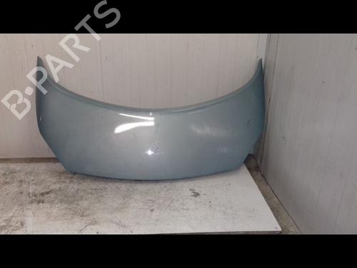 Used Hood RENAULT SCÉNIC II (JM0/1_) 1.9 dCi (JM14) (131 hp) 8963222