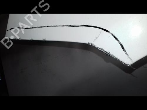 Left front fenders FIAT IDEA (350_) 1.4 16V | BP14954681C41 