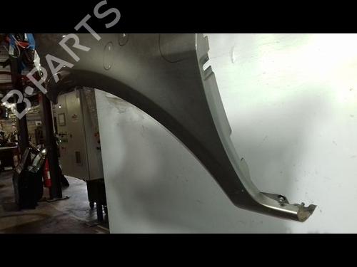 Left front fenders RENAULT CLIO III Grandtour (KR0/1_) 1.2 16V (KR0P) | BP29224563C41 