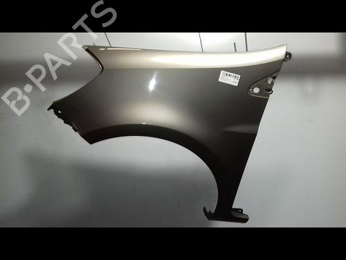 Left front fenders RENAULT CLIO III (BR0/1, CR0/1) 1.5 dCi | BP15378366C41 
