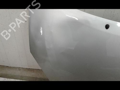 Used Hood RENAULT TWINGO II (CN0_) 1.5 dCi (CN0E) (64 hp) 8966675
