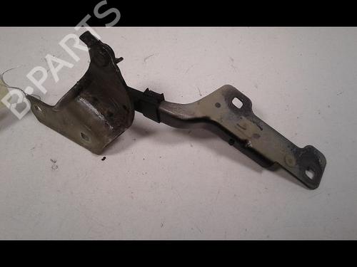 Hinge/Door check strap RENAULT CLIO III (BR0/1, CR0/1) 1.6 16V (BR05, BR0B, BR0Y, BR15, BR1J, BR1M, BR1Y, CR0B,... | BP16931154C146 