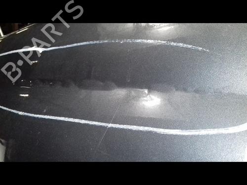 Left front fenders FIAT GRANDE PUNTO (199_) 1.2 | BP12551559C41 