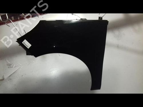 Left front fenders RENAULT SCÉNIC III (JZ0/1_) 1.6 dCi (JZ00, JZ12) | BP29136604C41 