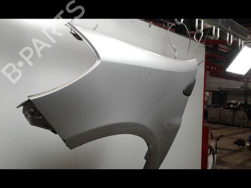 Left front fenders RENAULT CLIO III (BR0/1, CR0/1) 1.5 dCi (C/BR0G, C/BR1G) | BP15200293C41 