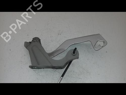 Hinge/Door check strap NISSAN MICRA IV (K13K, K13KK) 1.2 | BP29224796C146 