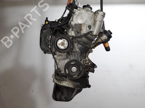 Motor VW POLO V (6R1, 6C1) 1.2 (60 hp) 29223056