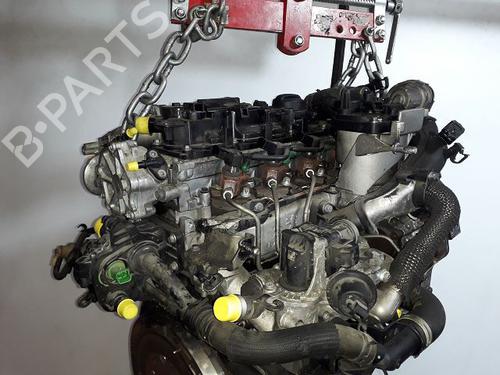 Engine SKODA FABIA II (542) 1.6 TDI | BP36425591M1 - Image 6