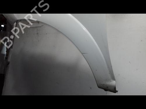 Left front fenders CITROËN C3 I (FC_, FN_) 1.4 HDi | BP19337792C41 