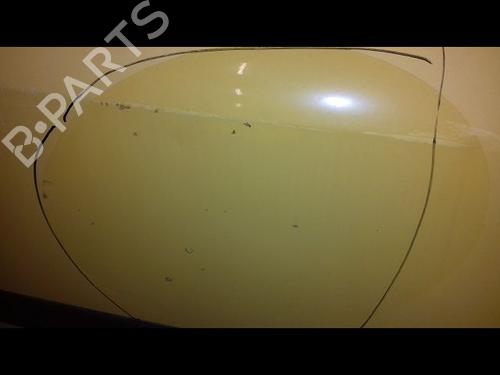 Right front door RENAULT KANGOO Express (FW0/1_) 1.5 dCi 75 (FW07, FW10, FW04) | BP29216629C3 