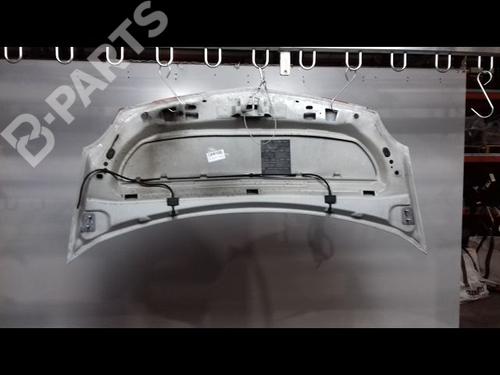 Used Hood RENAULT KANGOO Express (FW0/1_) 1.5 dCi 70 (FW0A, KW0V) (68 hp) 8973288