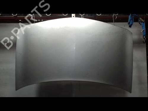 Used Hood RENAULT MEGANE II (BM0/1_, CM0/1_) 1.9 dCi (131 hp) 22441408