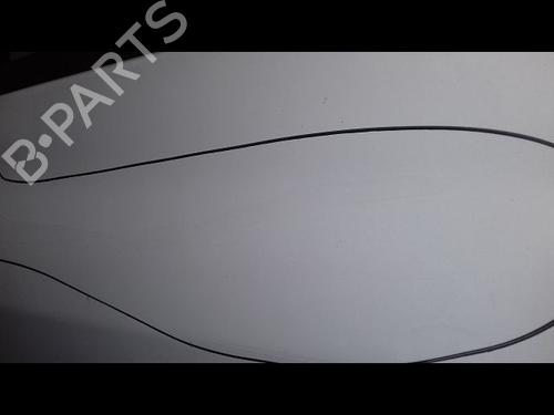 Used Right front door RENAULT CLIO III (BR0/1, CR0/1) 1.5 dCi (75 hp) 12117093