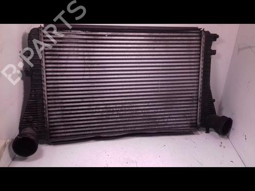 Andre VW GOLF V (1K1) 1.9 TDI | BP23194460O1 