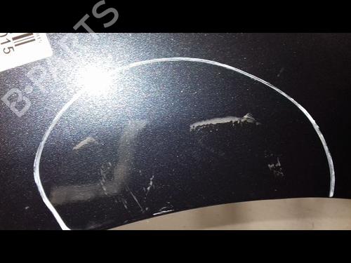 Left front fenders CITROËN C4 II (NC_) 1.4 VTi 95 (NC8FP0) | BP29224559C41 