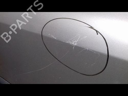 Right front door RENAULT CLIO III (BR0/1, CR0/1) 1.5 dCi (C/BR0G, C/BR1G) | BP30949711C3 